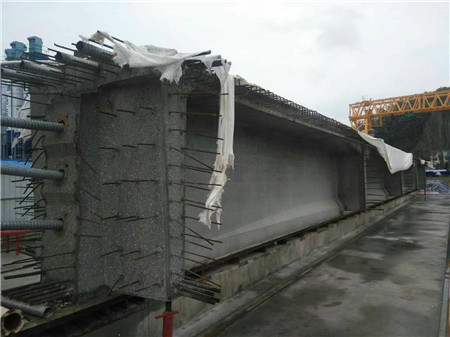 30米液压t梁钢模板——河南钢模板厂家郑西高速尧栾段现场运用成功